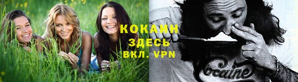 трава Алзамай