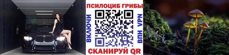 Псилоцибиновые грибы Psilocybe  нарко площадка как зайти  Галич  kraken  